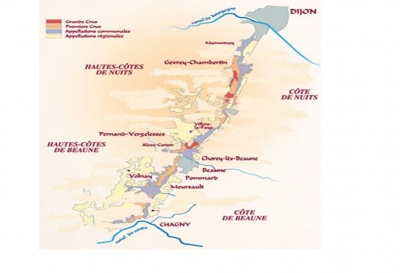 carte_vignes